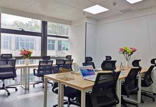 新河比较好的网站建设展示